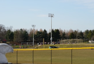A sports field with a group of people engaging in athletic activities in the background. There is sports equipment like a soccer goal and a scoreboard visible. A chain-link fence runs across the foreground, and a statue or sculpture resembling an eagle is also seen. Trees and tall floodlights are positioned behind the field.