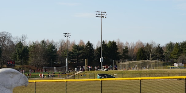 A sports field with a group of people engaging in athletic activities in the background. There is sports equipment like a soccer goal and a scoreboard visible. A chain-link fence runs across the foreground, and a statue or sculpture resembling an eagle is also seen. Trees and tall floodlights are positioned behind the field.